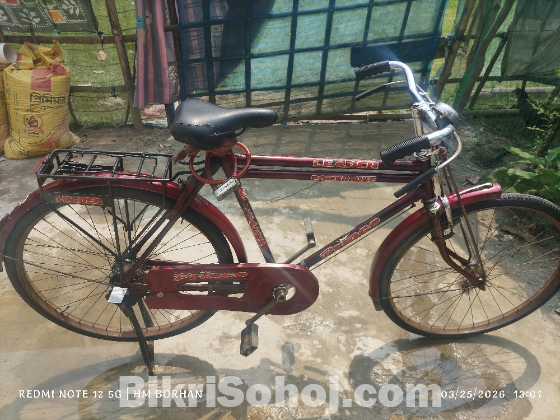 বাইসাইকেল